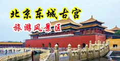 免费看cao中国北京-东城古宫旅游风景区